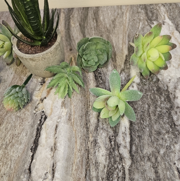 Fake Succulent Lot - Picture 6 of 6